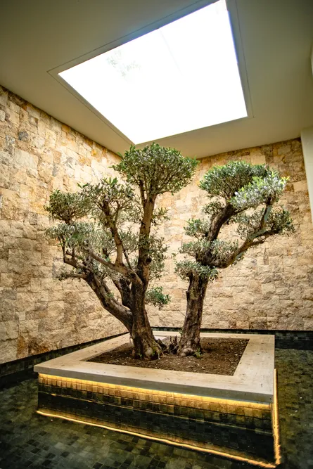 casa_camojan_am_construcciones_empresa_de_construccion_de_villas_de_lujo_en_marbella_23